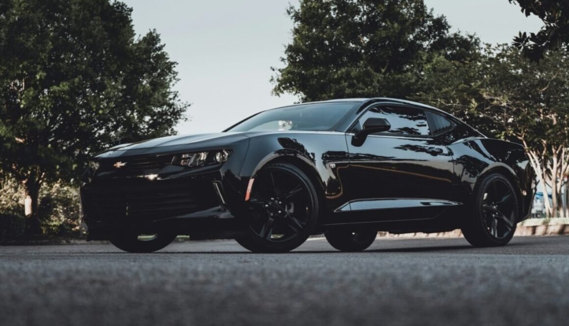 talia-1mbB-9dqb8M-unsplash